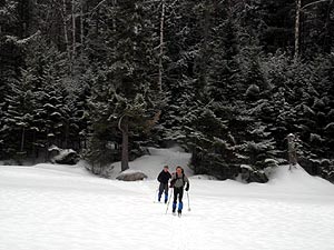 Winter Photo