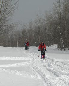 Winter Photo