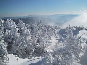Winter Photo
