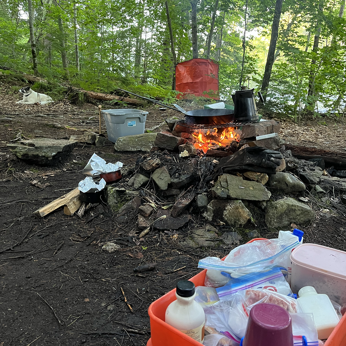 Campfire Cooking