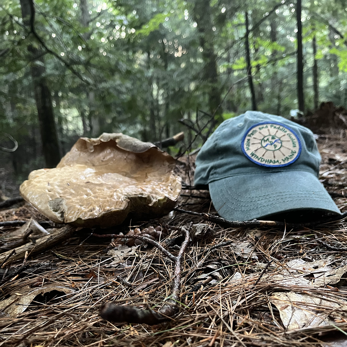 mushroom MPPG hat